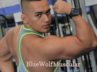 BlueWolfMuscular