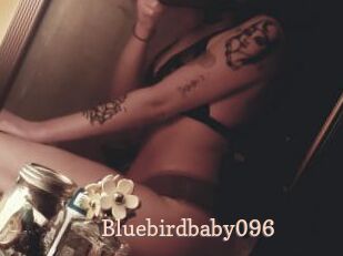 Bluebirdbaby096