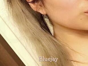 Blue_jay