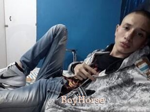 BoyHorse