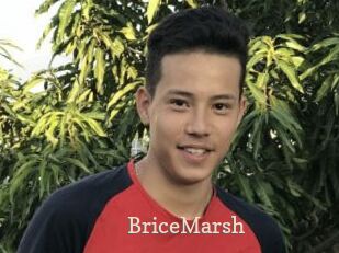 BriceMarsh