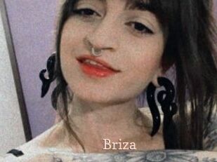 Briza
