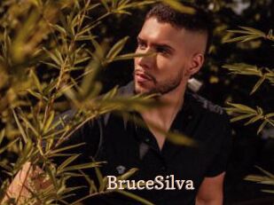 BruceSilva