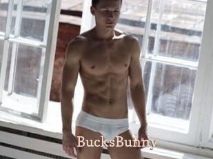 BucksBunny