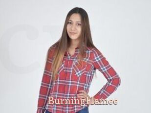BurningFlamee