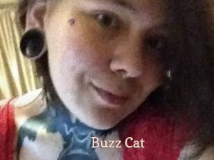 Buzz_Cat