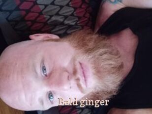 Bald_ginger