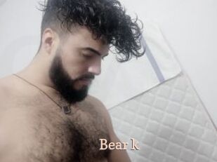 Bear_k