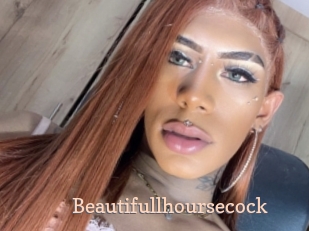 Beautifullhoursecock