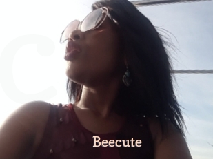 Beecute