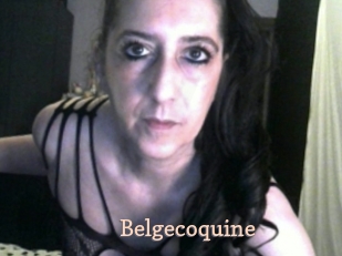 Belgecoquine