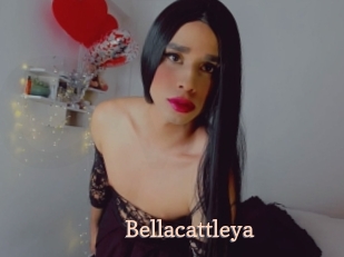 Bellacattleya