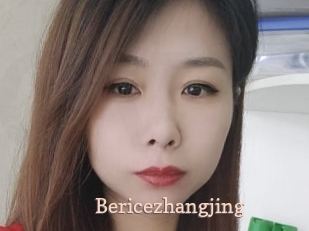 Bericezhangjing