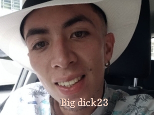Big_dick23