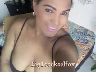 Big1cockselfox