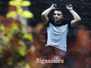 Bigassalex