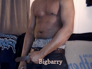 Bigbarry