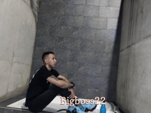 Bigboss22
