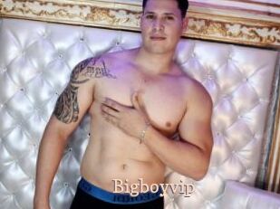 Bigboyvip