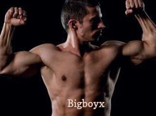 Bigboyx