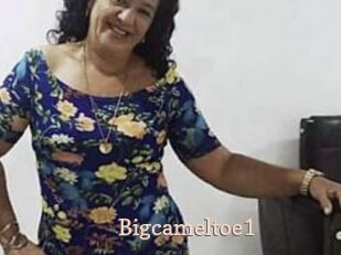 Bigcameltoe1