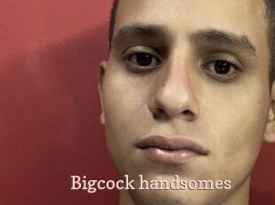 Bigcock_handsomes