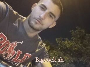 Bigcock_sh