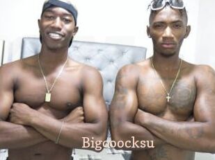 Bigcoocksu
