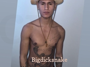 Bigdicksnake