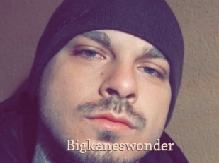 Bigkaneswonder