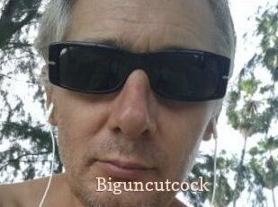 Biguncutcock