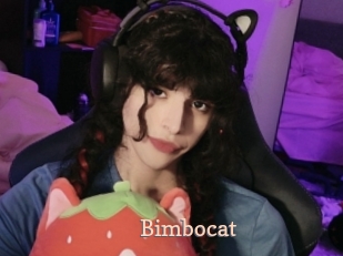 Bimbocat