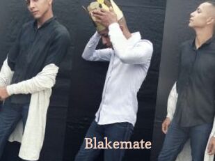 Blakemate