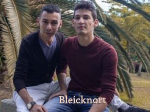 Bleicknort