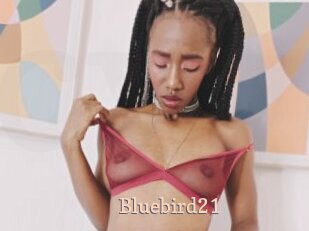 Bluebird21