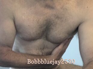 Bobbbluejay2530
