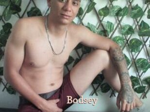 Bodsey