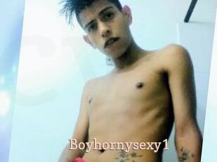 Boyhornysexy1