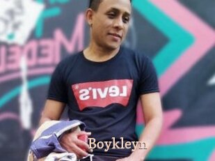 Boykleyn