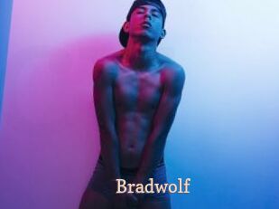 Bradwolf