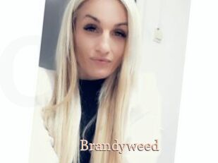 Brandyweed