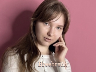 Breebrach