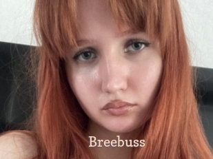 Breebuss