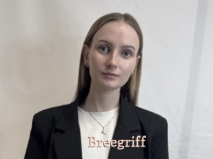 Breegriff