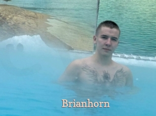 Brianhorn