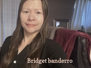 Bridget_banderro