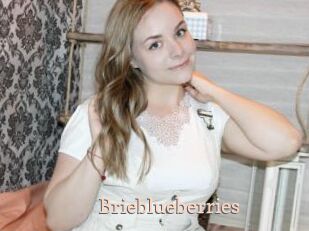 Brieblueberries