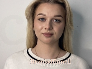 Brimladfinnell