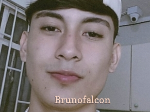 Brunofalcon