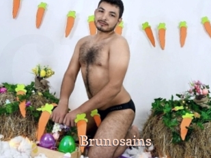 brunosains Chaude Vision